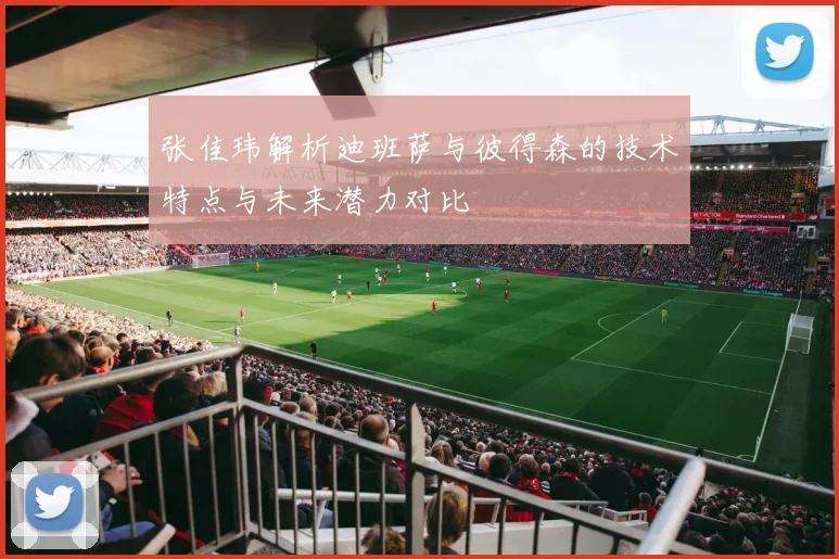 张佳玮解析迪班萨与彼得森的技术特点与未来潜力对比